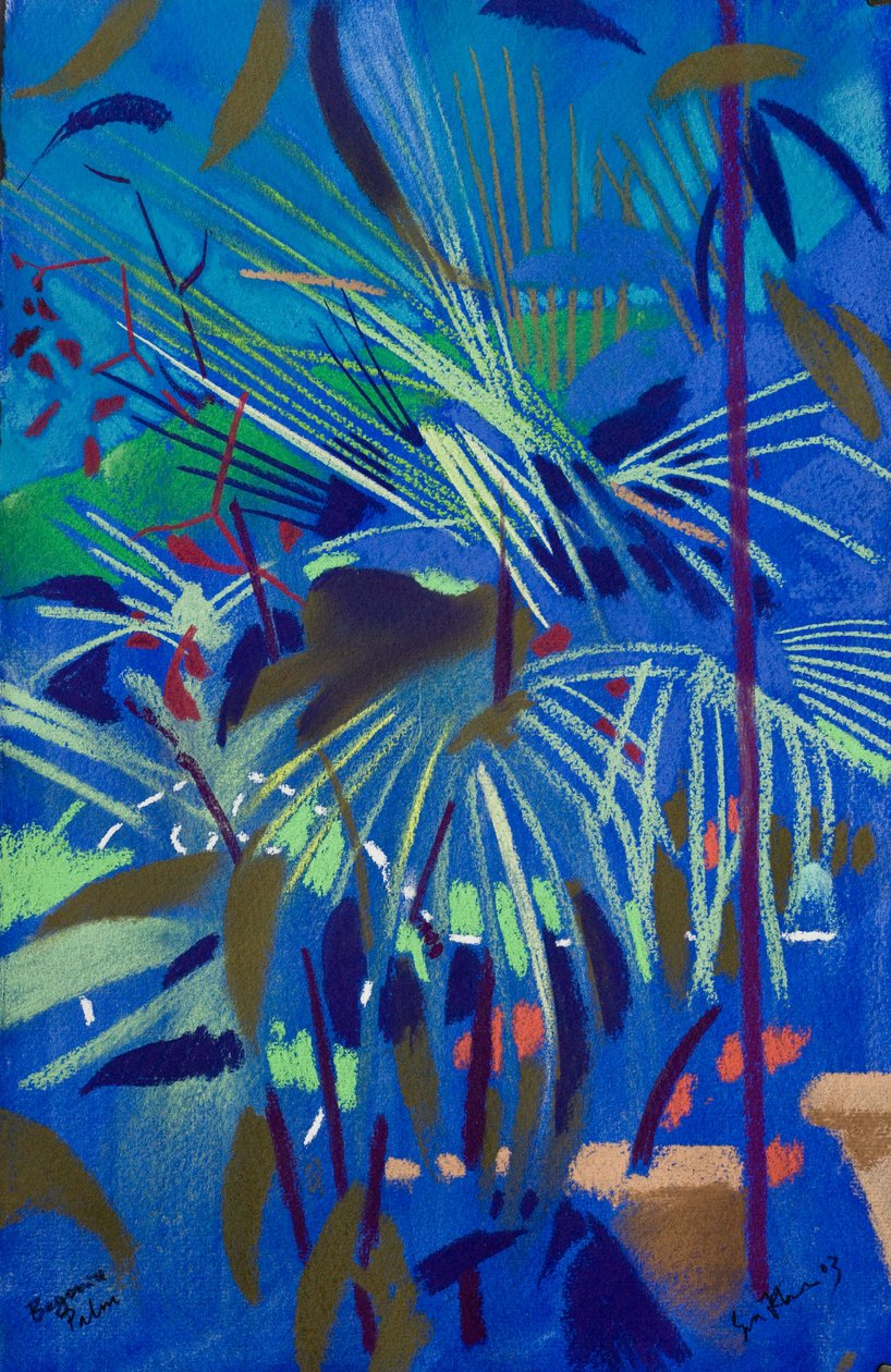 Begonia Palm (pastel på papir) af Simon Fletcher