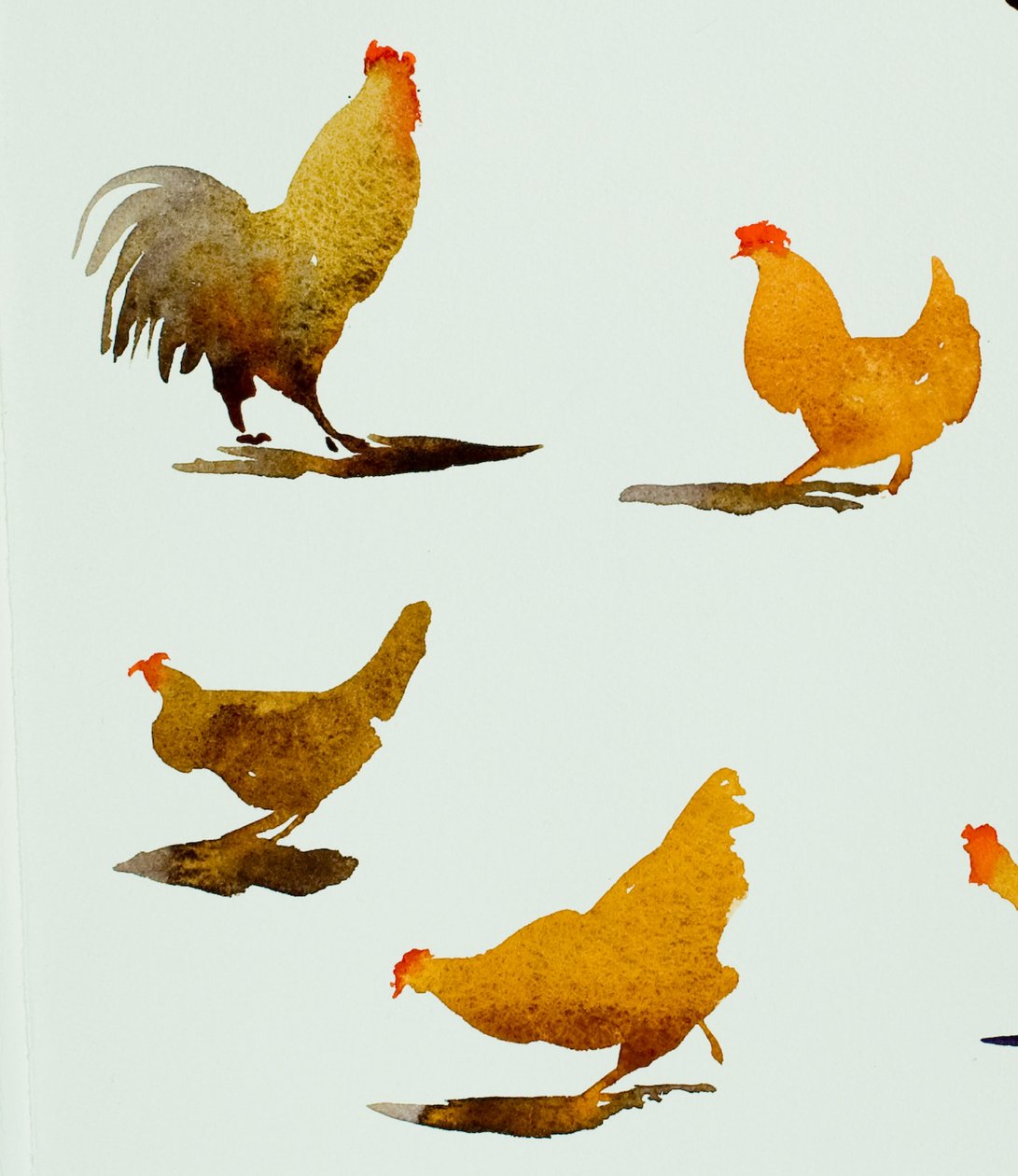 Hane og tre høns, 2013 (akvarel) af Simon Fletcher