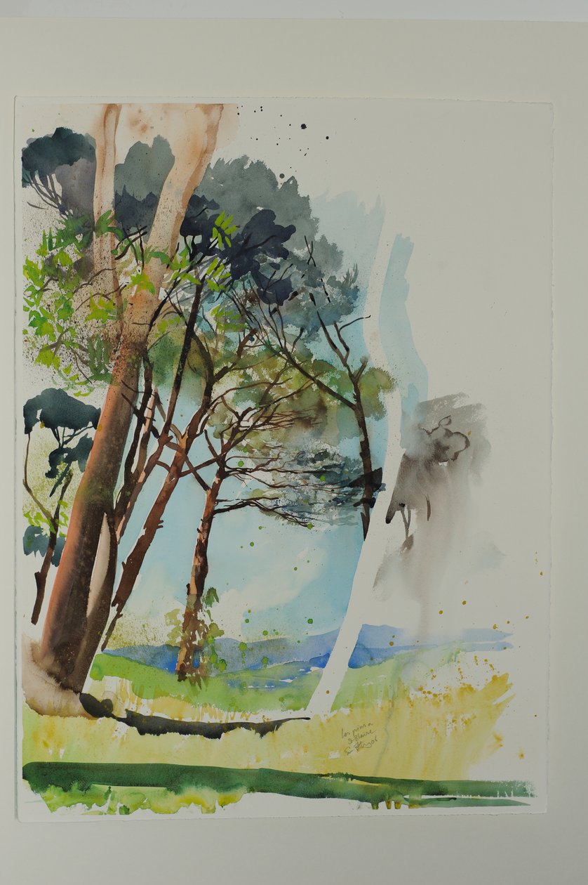Pines at St. Blaise, 2004 (akvarel på papir) af Simon Fletcher