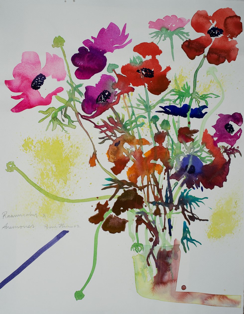 Ranunkel  anemoner, 2010 (akvarel) af Simon Fletcher