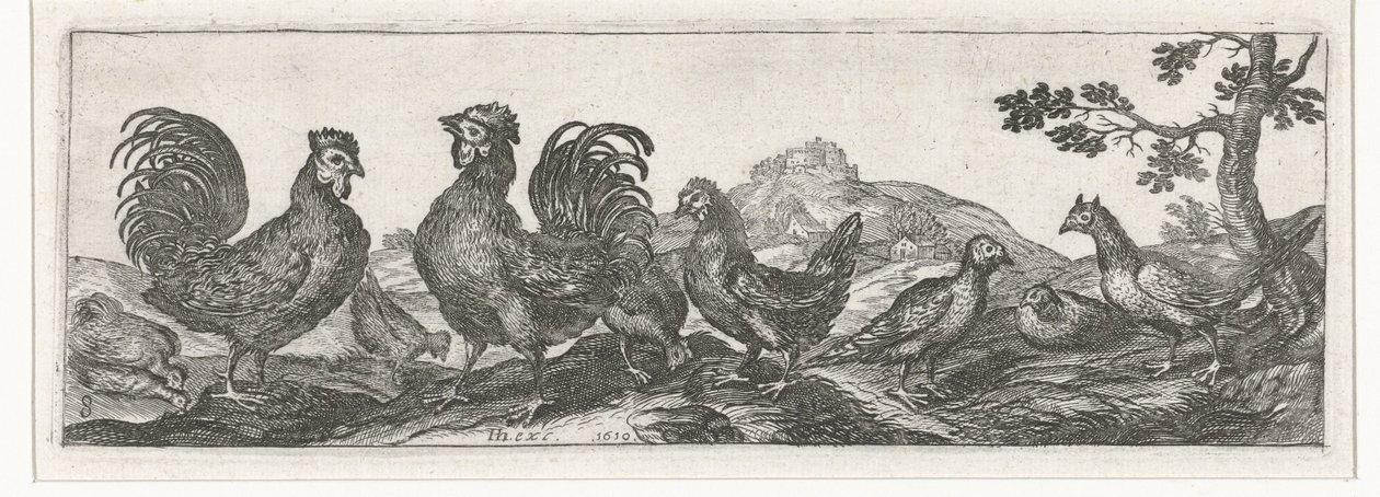 Fjerkræ Fugle og insekter (serietitel) af Simon Frisius