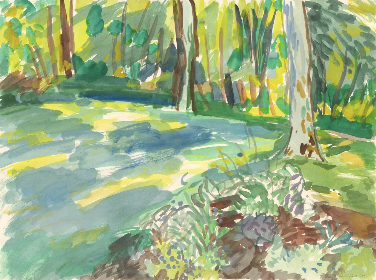 Have og vådområde, 2018 (akvarel på papir) af Simon Neville