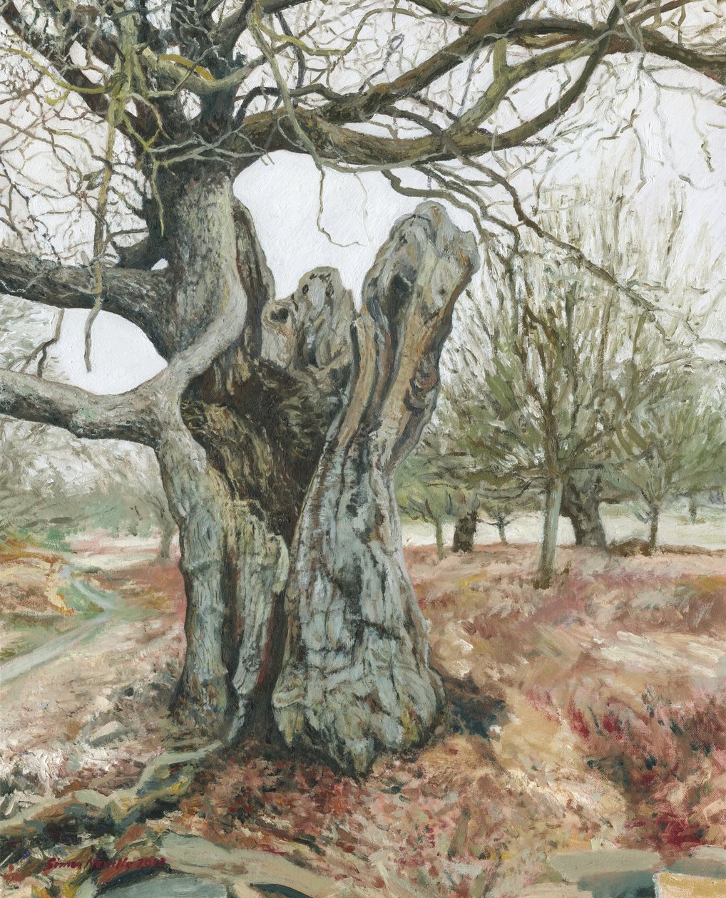 Gammelt træ, Richmond Park, 2018 (olie på linned) af Simon Neville