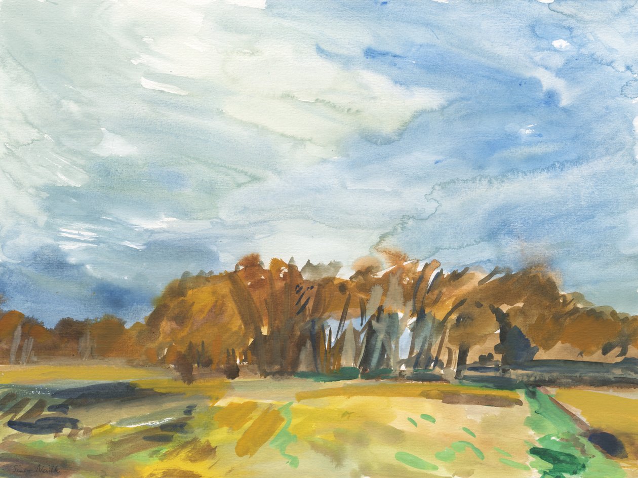 Richmond Park, 2018 (akvarel på papir) af Simon Neville