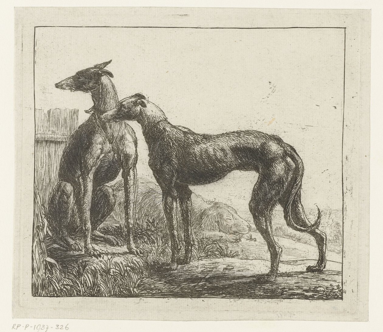 To greyhounds Forskellige dyr (serietitel) Kite Bugs (serietitel) af Simon de Vlieger