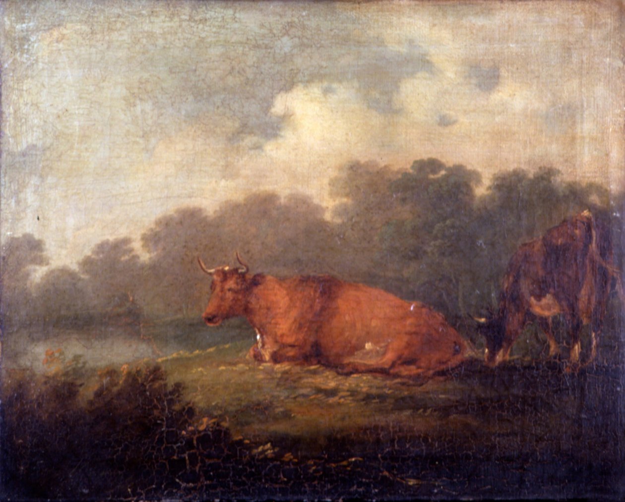 Landskab med kvæg (en ko hviler) af Sir Peter Francis Bourgeois