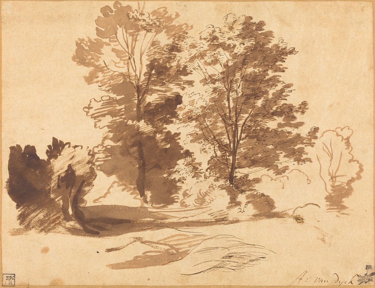 Kanten af en Skov af Sir Anthony van Dyck