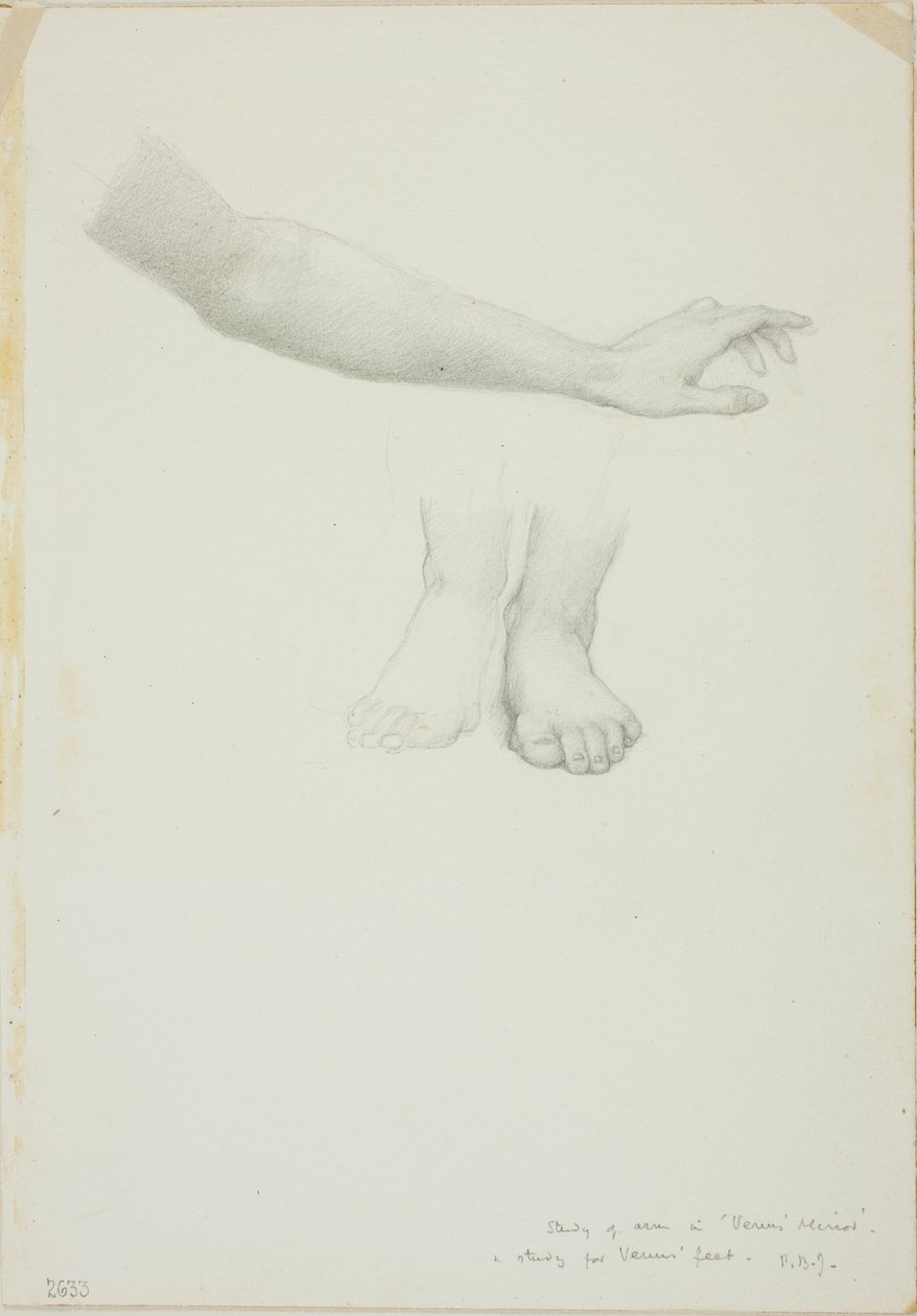 Arm og fødder, studie til Mirror of Venus af Sir Edward Burne Jones