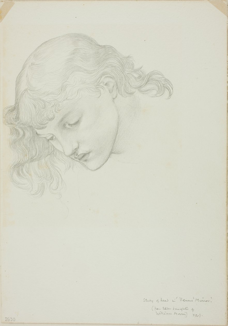 Head, Study for Mirror of Venus af Sir Edward Burne Jones