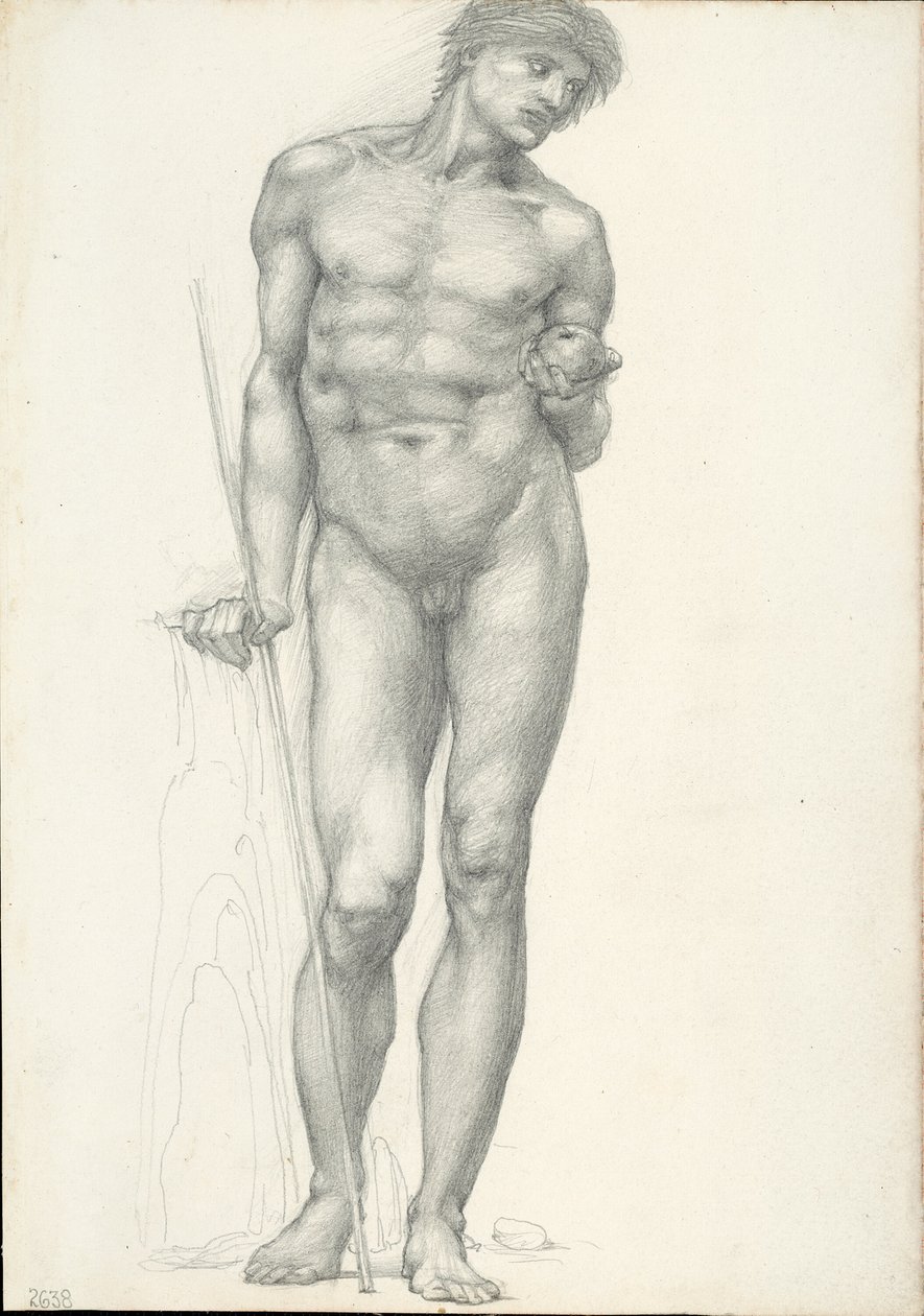 Paris med gyldent æble i venstre hånd, til Troy-triptykonen (skitsebog #2638) af Sir Edward Burne Jones