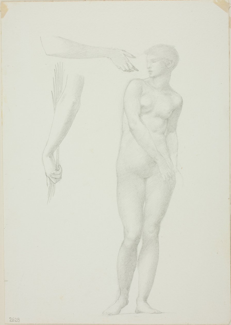 Stående nøgen kvinde og skitser af våben af Sir Edward Burne Jones