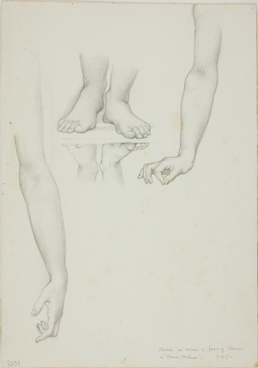 Studie til Mirror of Venus: Arms and Feet of Venus af Sir Edward Burne Jones