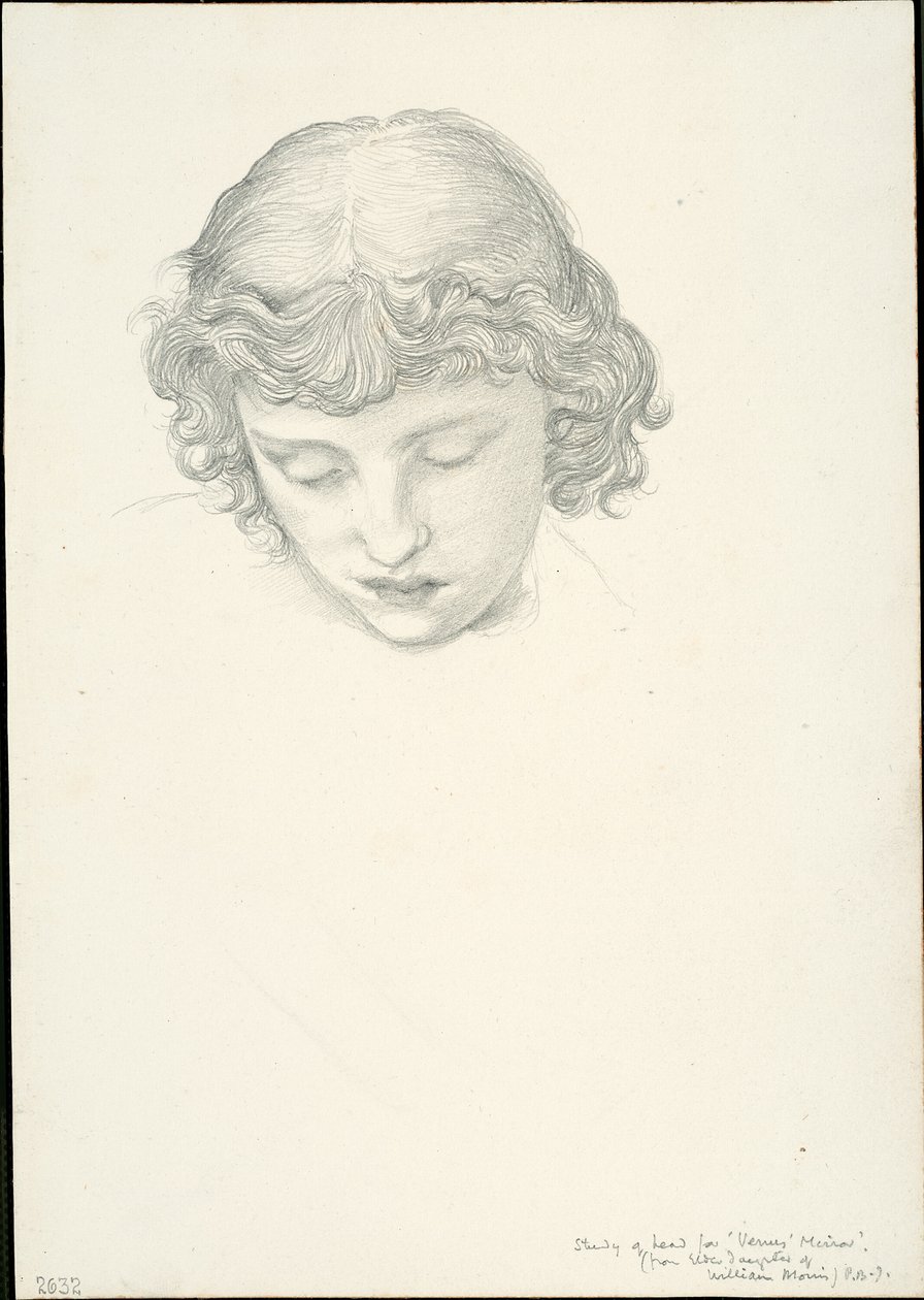 Studie til Mirror of Venus: Head af Sir Edward Burne Jones
