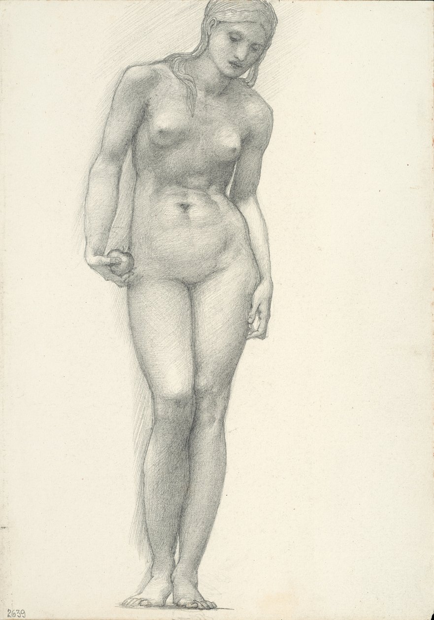 Venus med guldæblet i højre hånd, til Troja-triptykonen (skitsebog #2639) af Sir Edward Burne Jones