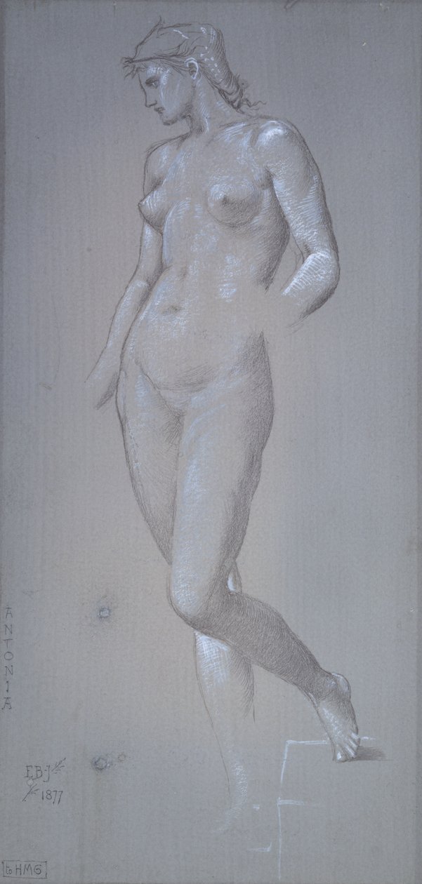 Antonia, 1877 af Sir Edward Coley Burne Jones