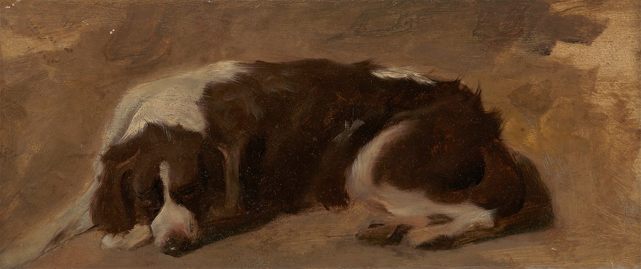 En spaniel liggende af Sir Edwin Henry Landseer