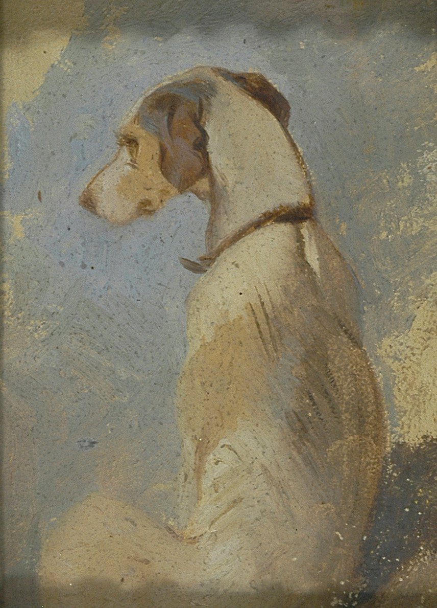 Studie af en Greyhound af Sir Edwin Henry Landseer