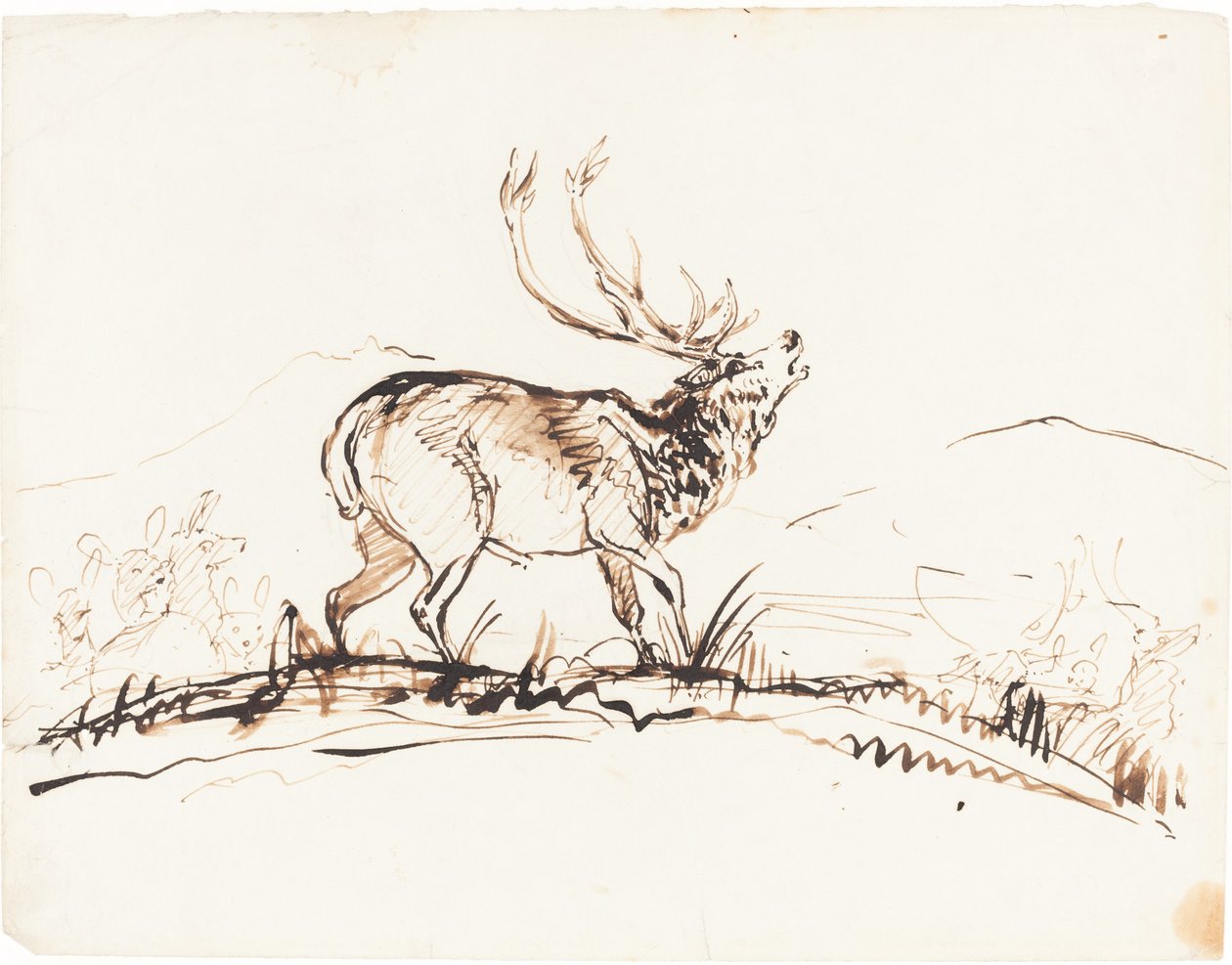 En brølende kronhjort af Sir Edwin Landseer