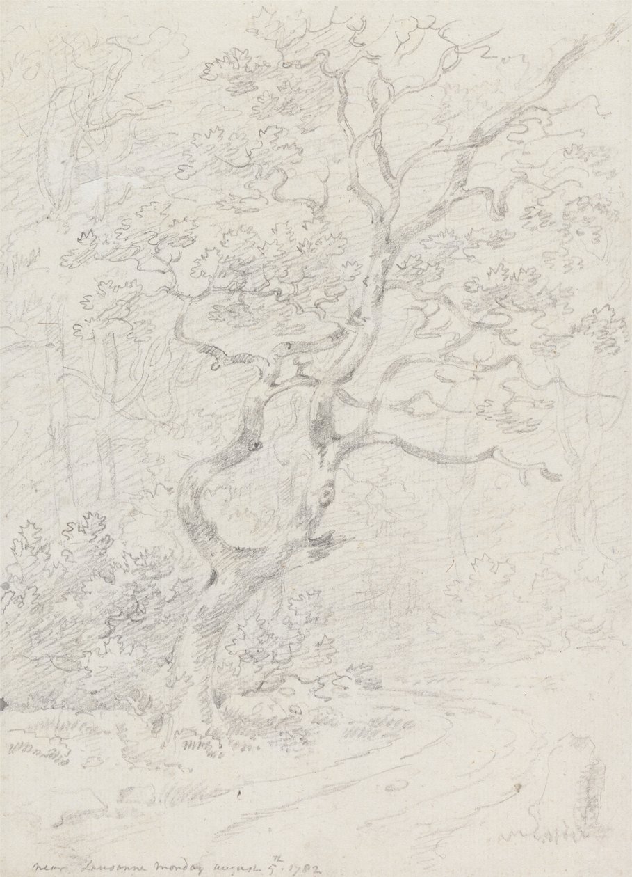 Træer, nær Lausanne af Sir George Howland Beaumont seventh Baronet