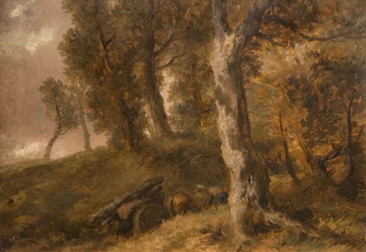 Studie af træer, 1874. af Sir John Gilbert