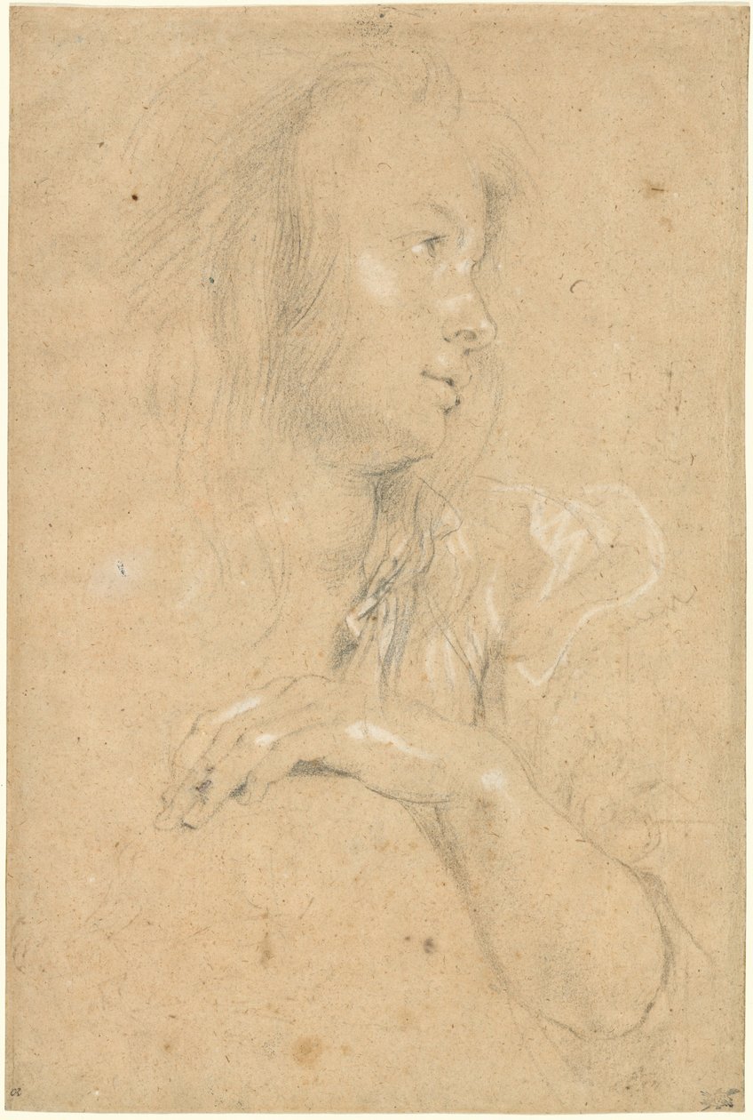 Ung kvinde i profil af Sir Peter Paul Rubens