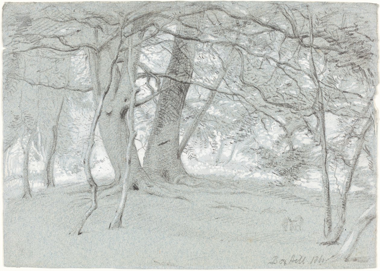Træer ved Box Hill af Sir William Blake Richmond