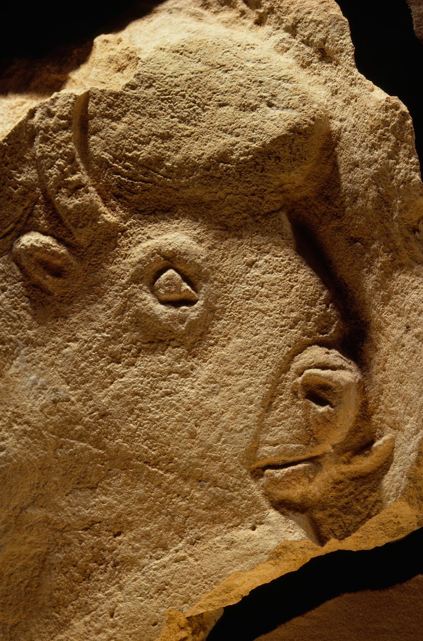 Bas-Relief skulptur af en bison, kalksten er seksten tusinde år gammel. af Sisse Brimberg