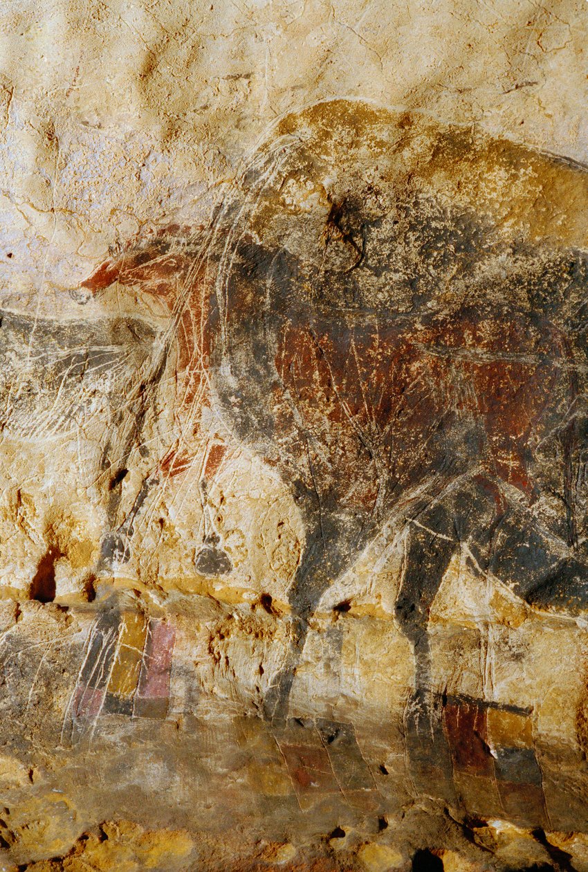 Detalje af indgraveret maleri af hestehoveder, Lascaux. af Sisse Brimberg