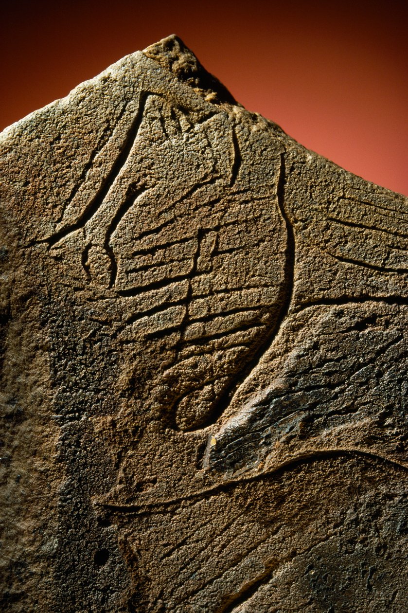 Elegant indgravering af en menneskeprofil fundet på en forhistorisk kalkstenscache. af Sisse Brimberg