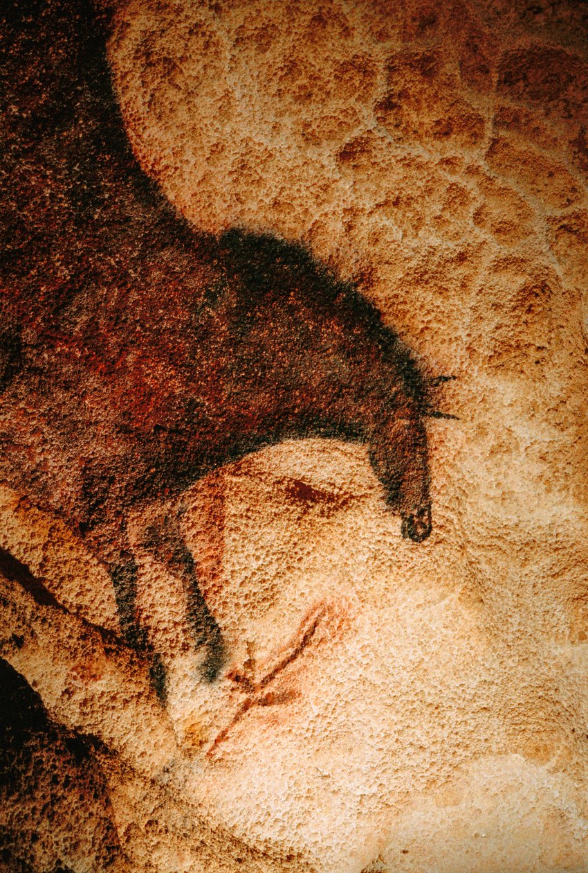 Galoperende hest i Lascaux-hulen, Frankrig. af Sisse Brimberg