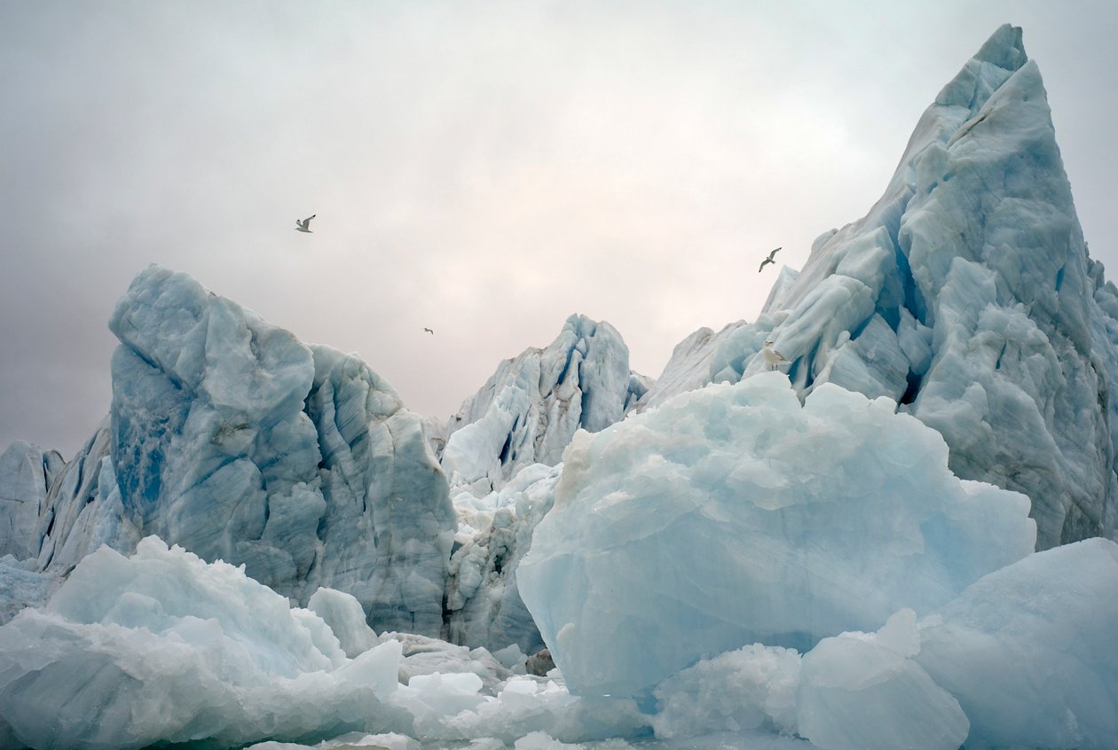 Isbjerge i det arktiske hav omkring Spitsbergen Island, Norge, 2022 (foto) af Sisse Brimberg