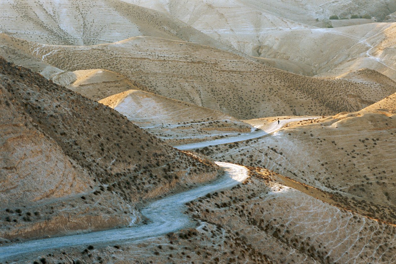 Israel, Judæa: Scene fra de judæiske bakker øst for Jerusalem, 2022 (foto) af Sisse Brimberg