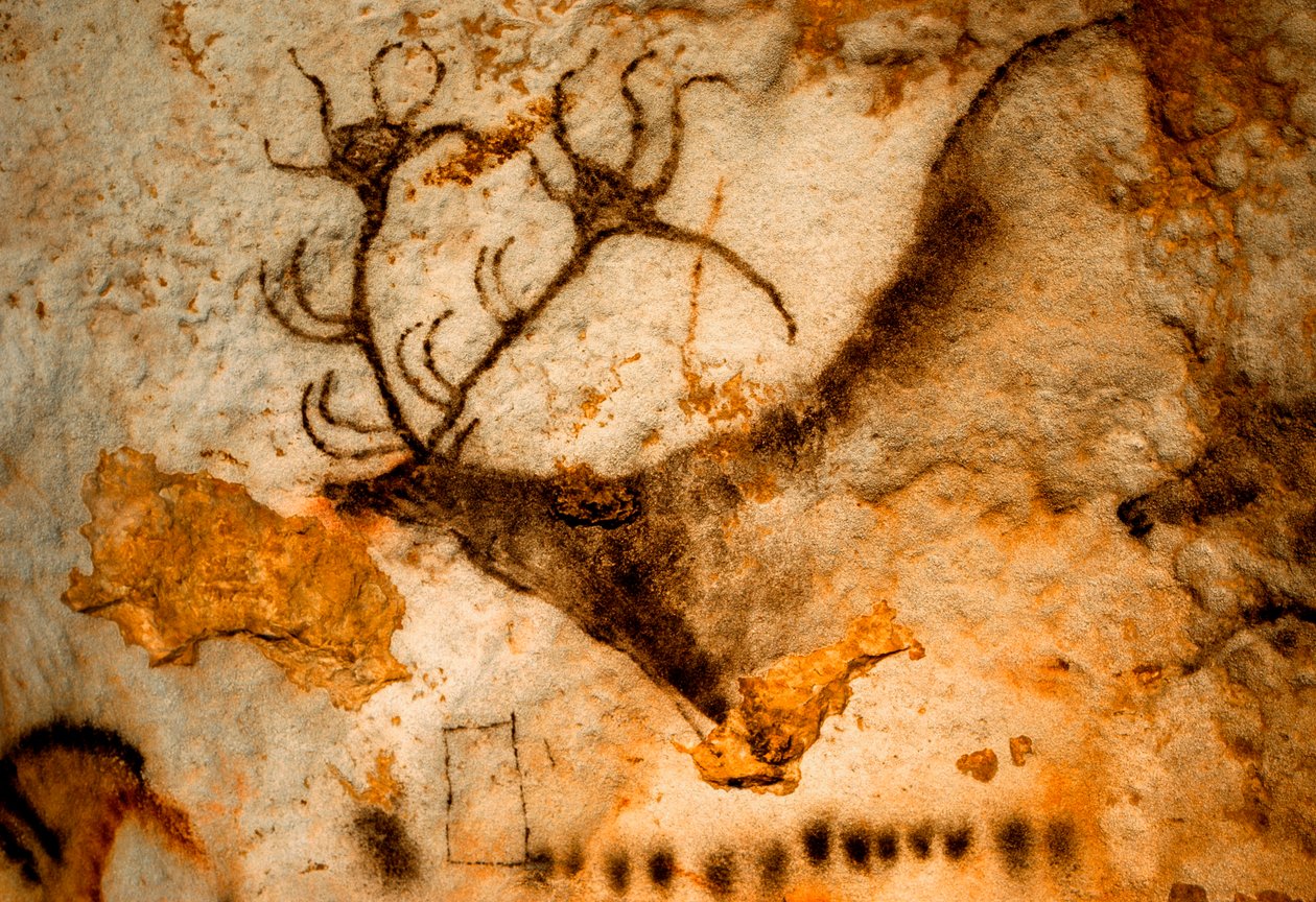 Forhistorisk maleri af kronhjort med ni-spidset gevir i Lascaux-hulen, Frankrig. af Sisse Brimberg