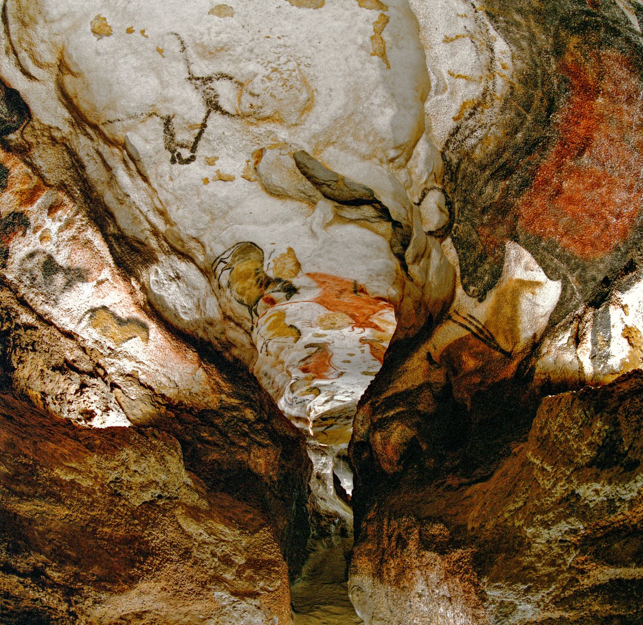 Axial Gallery viser uddøde urokser på loftet i Lascaux-grotten i Frankrig. af Sisse Brimberg