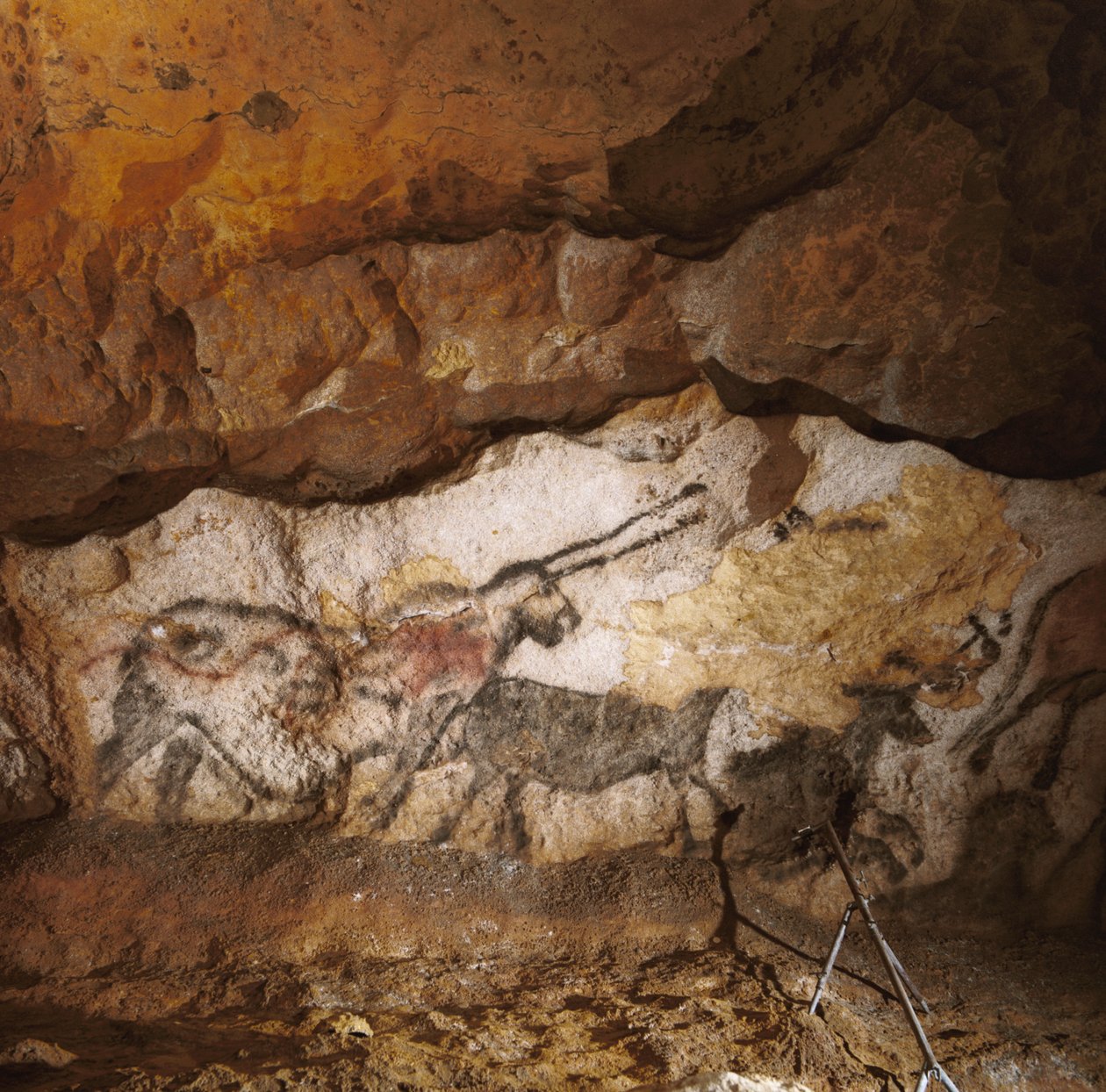 Den mytiske enhjørning fra Lascaux, der blev malet for over 17.000 år siden, står på den hvide... af Sisse Brimberg
