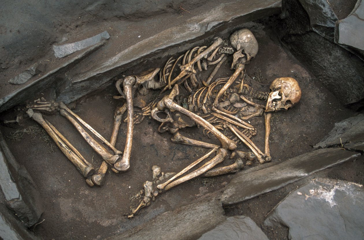 Knoglerne af to skythere ligger i en 3000 år gammel grav ved Arzhan-2., 2003 (foto) af Sisse Brimberg
