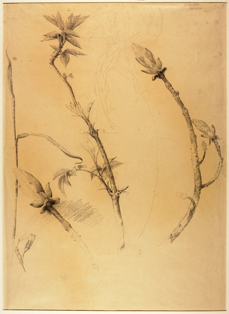 Afdelinger af Solon H. Borglum