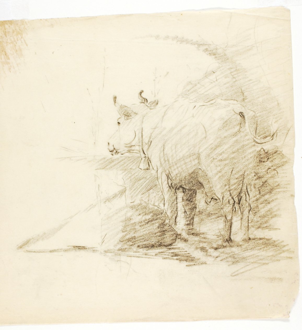 Ko af Solon H. Borglum