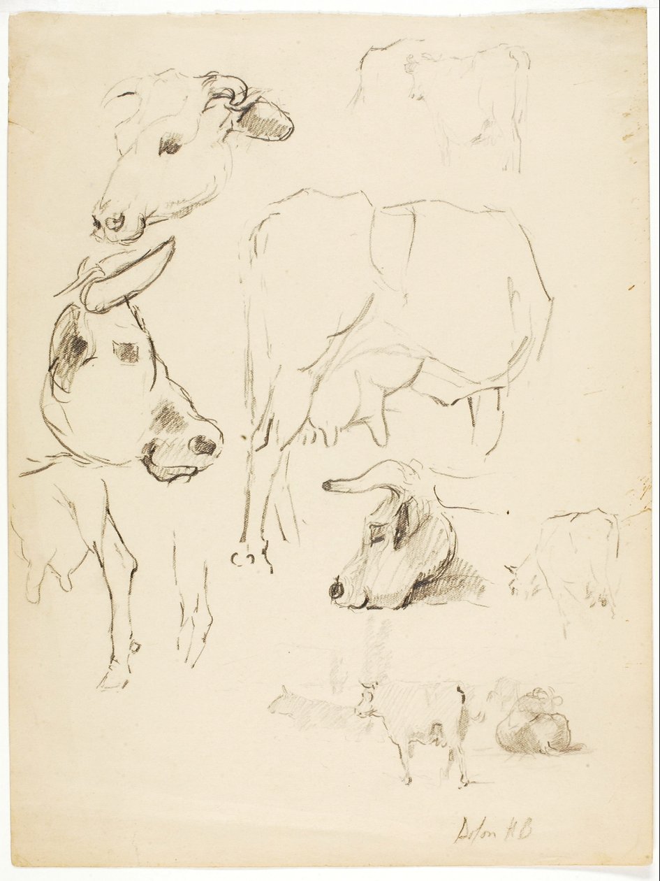 Køer af Solon H. Borglum