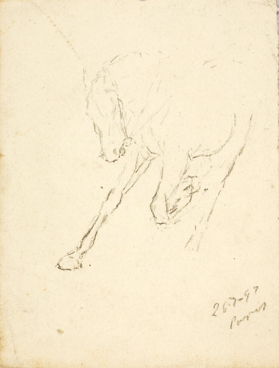 Hest af Solon H. Borglum