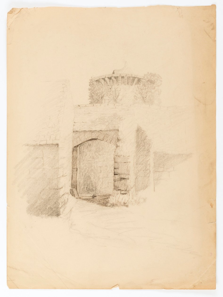 Le Chateau de Chevenevase af Solon H. Borglum
