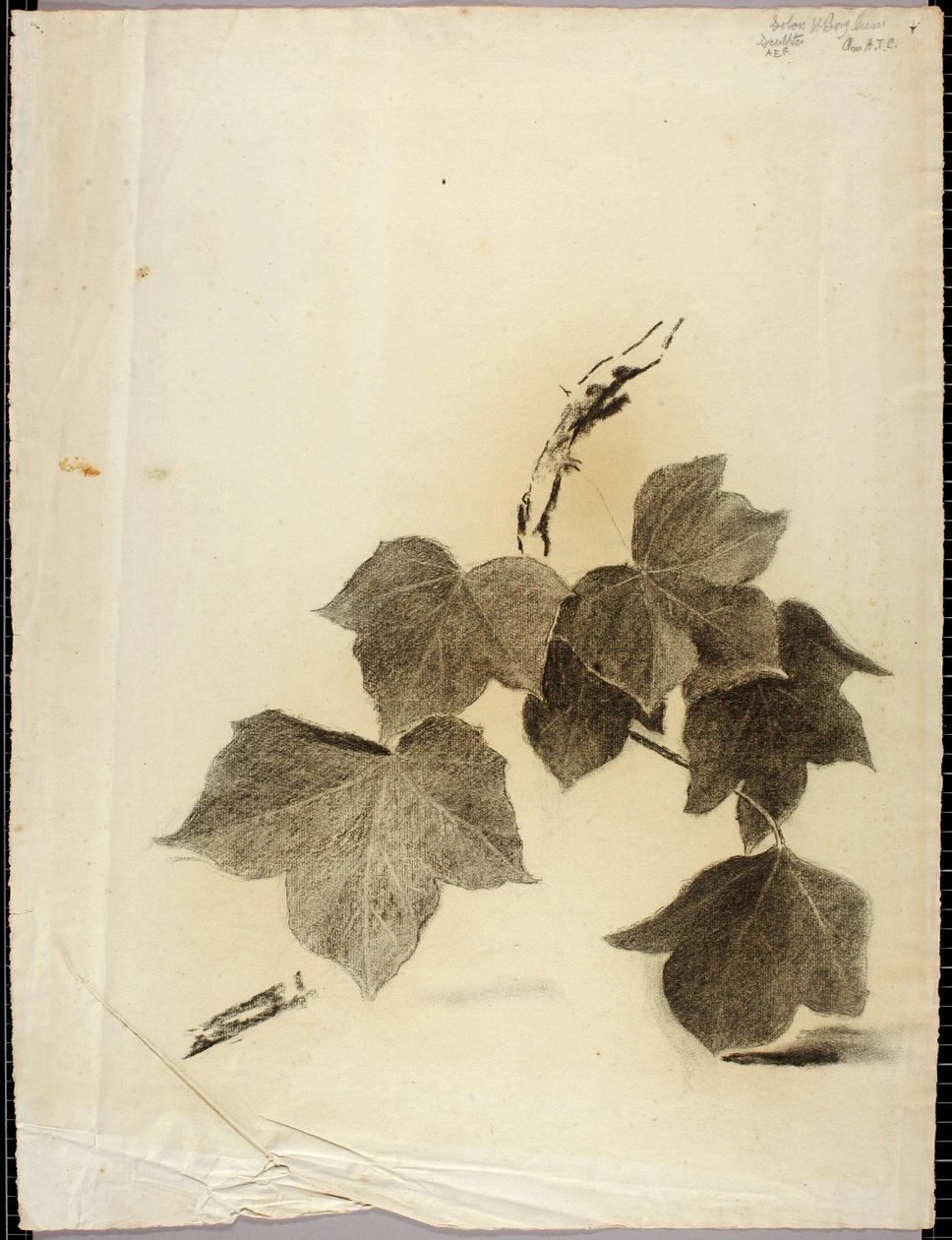 Bladene af Solon H. Borglum