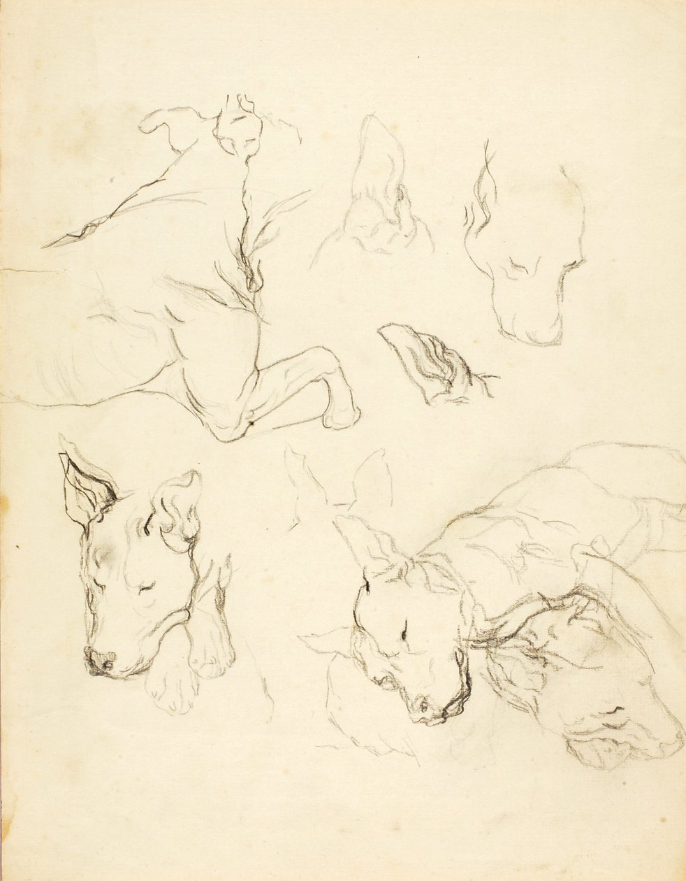 Sovende hunde af Solon H. Borglum