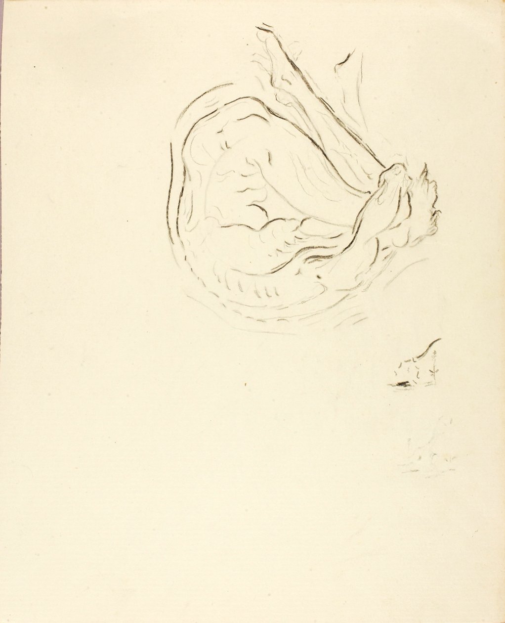 Svømmer af Solon H. Borglum