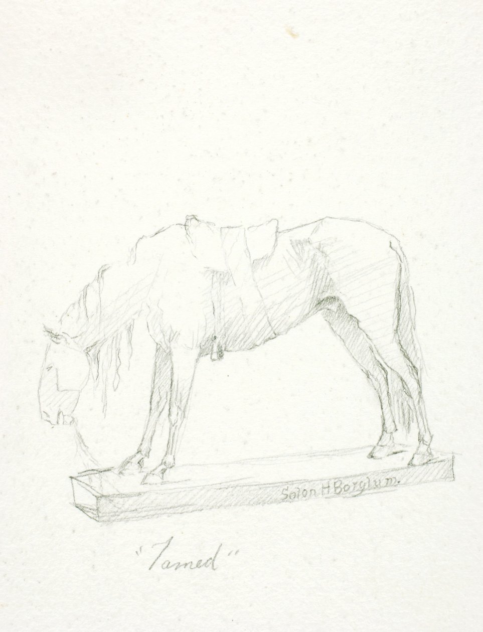 Tæmmet af Solon H. Borglum