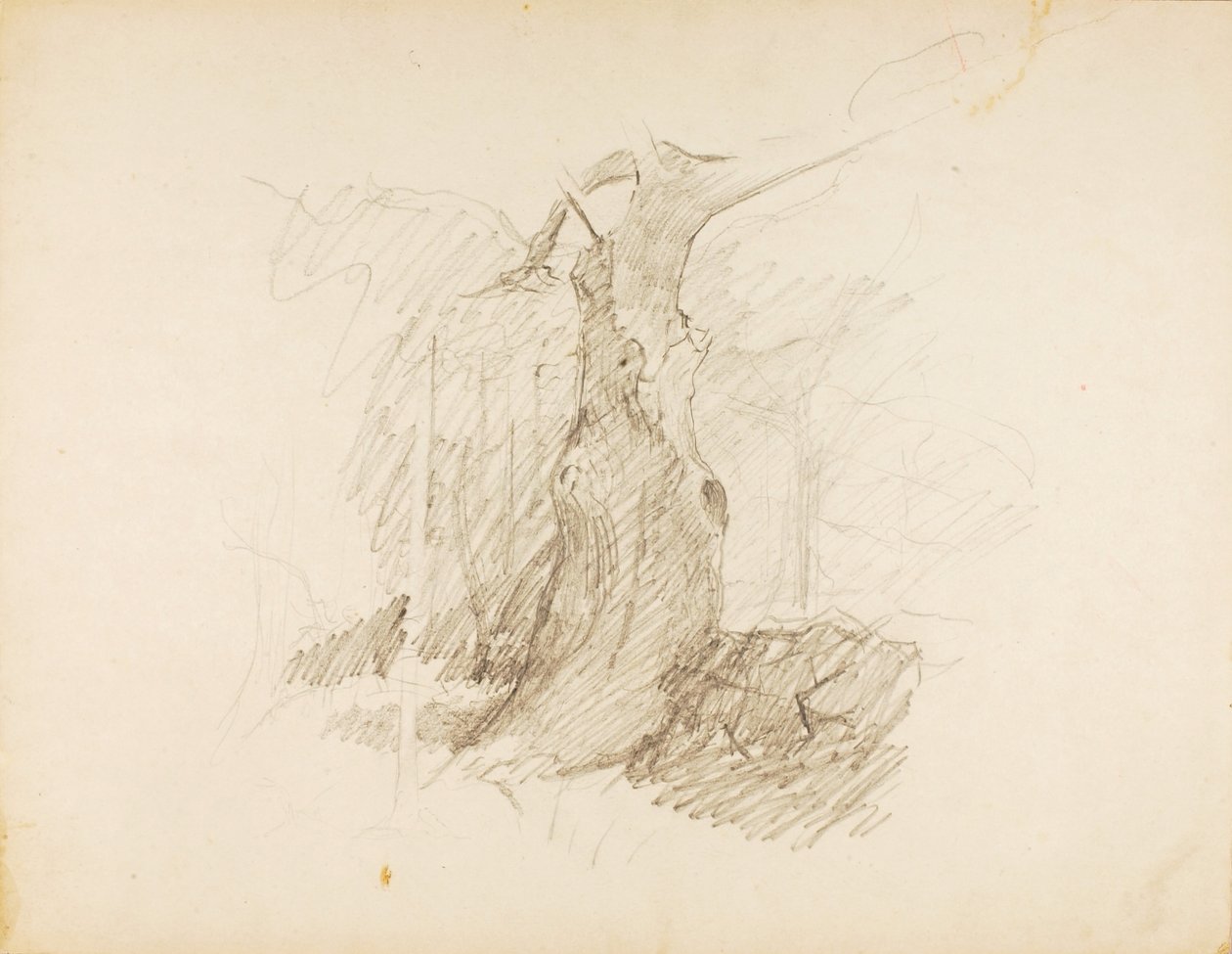 Uden titel af Solon H. Borglum