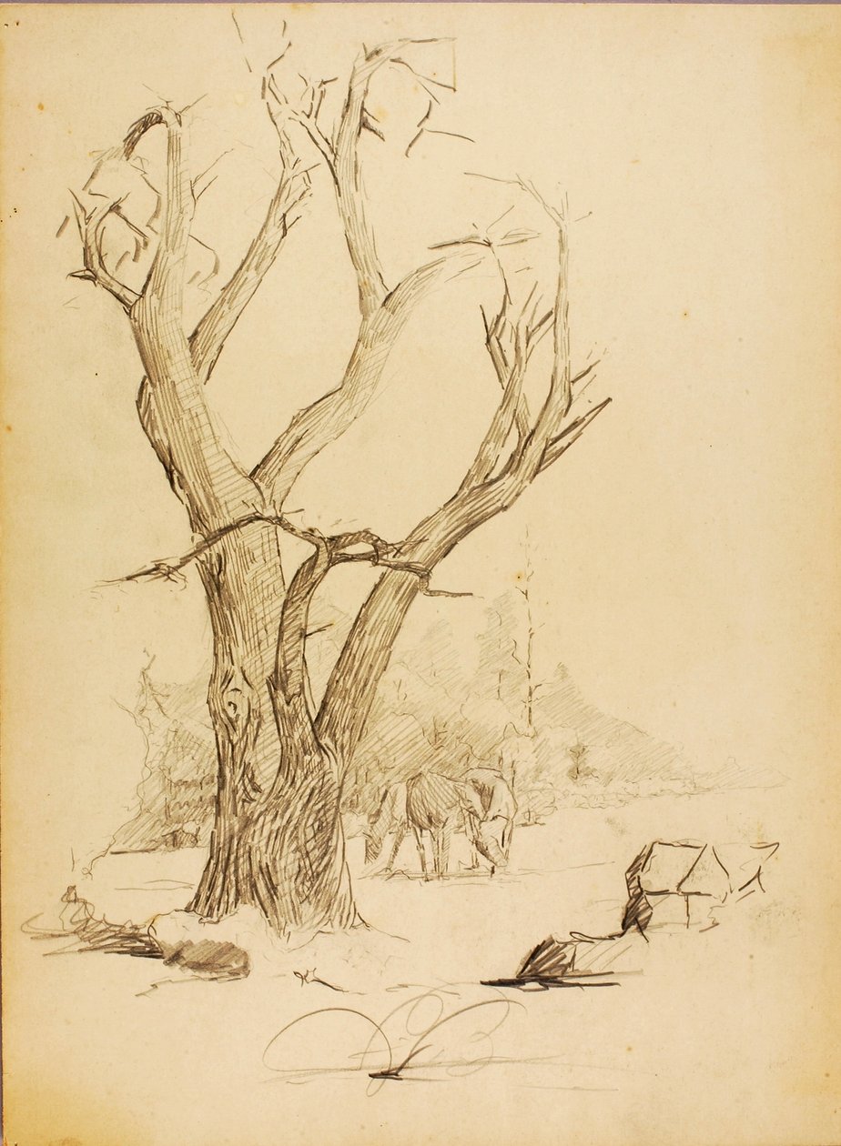 Uden titel af Solon H. Borglum