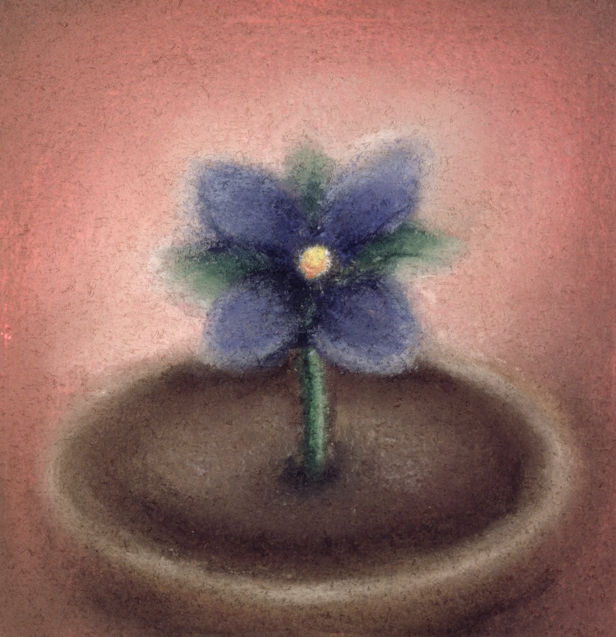 Lille blomst (pastel på papir) af Sophie Hacker