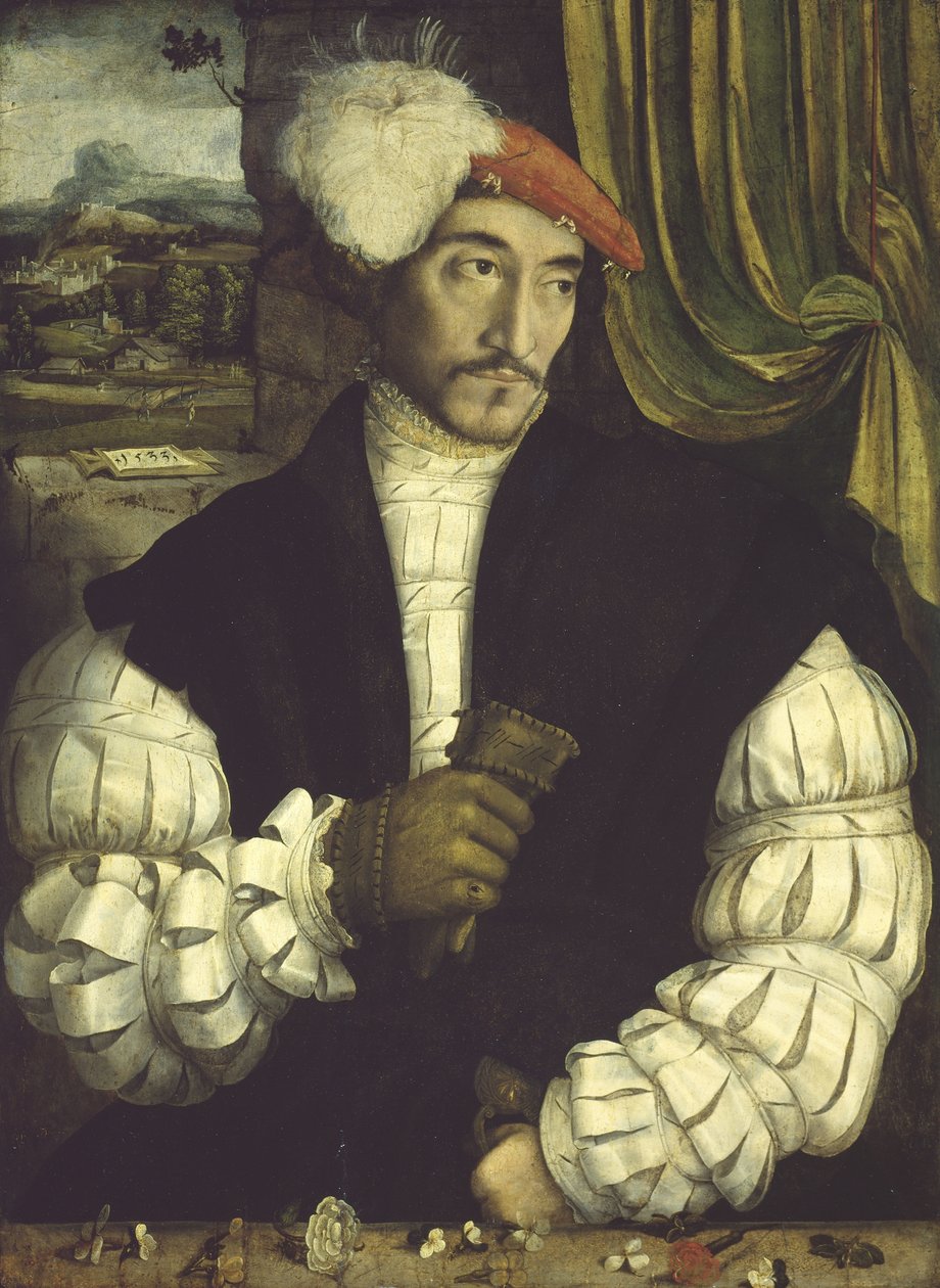 Portræt af en mand, 1533 af South German School