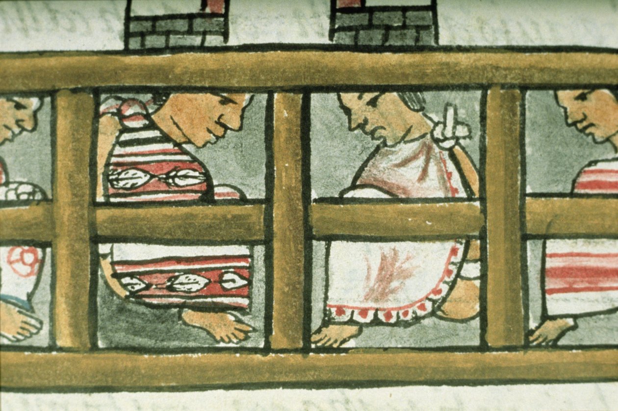 Fru Palat. 218-220 Bog IX Aztekiske fanger, fra den 